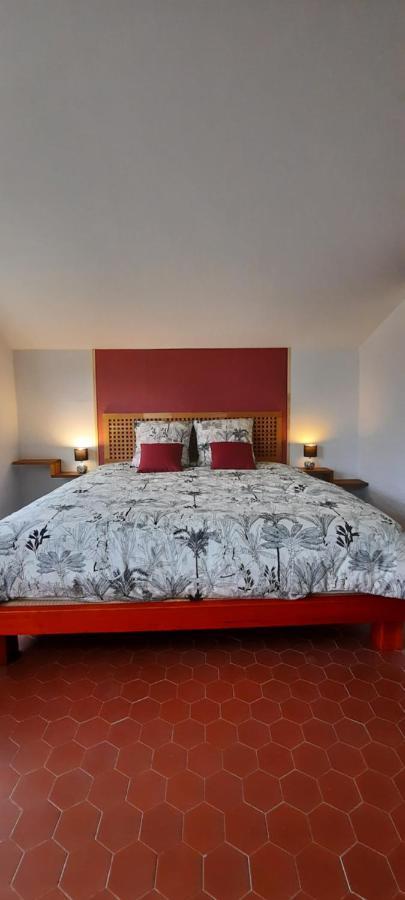 Mas Bella Vida - Chambres D'Hotes Puget Theniers Bagian luar foto