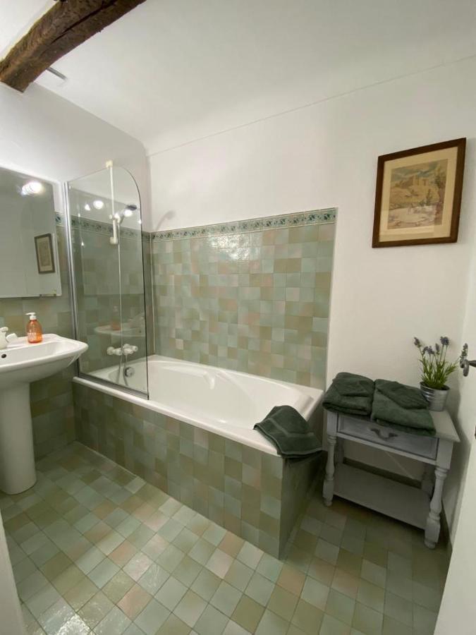 Mas Bella Vida - Chambres D'Hotes Puget Theniers Bagian luar foto