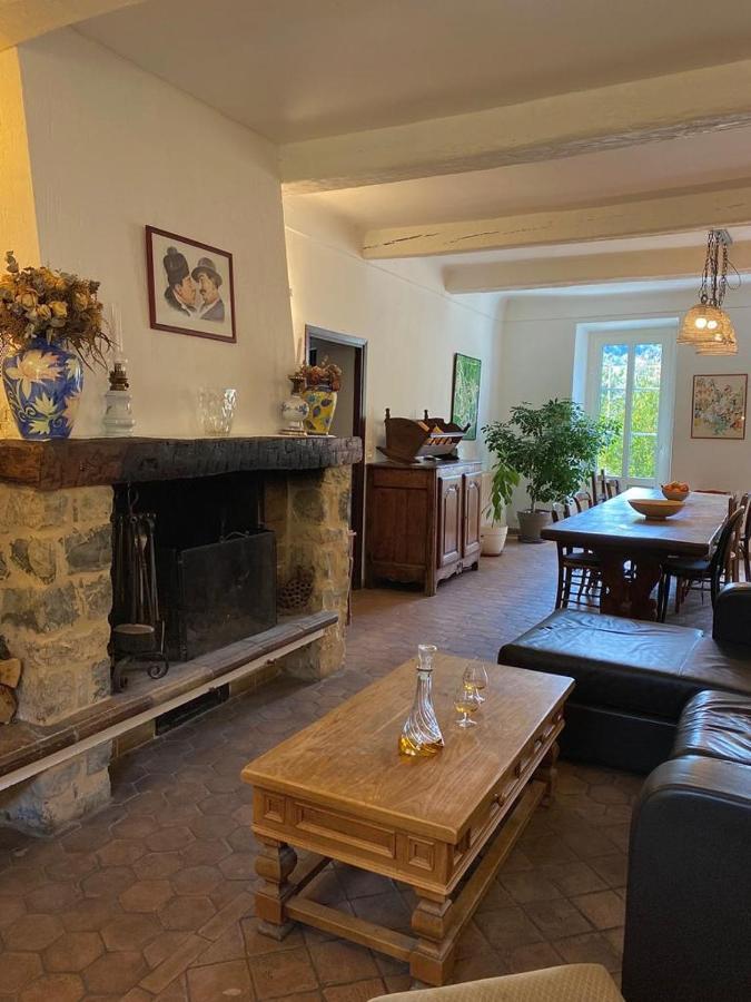 Mas Bella Vida - Chambres D'Hotes Puget Theniers Bagian luar foto